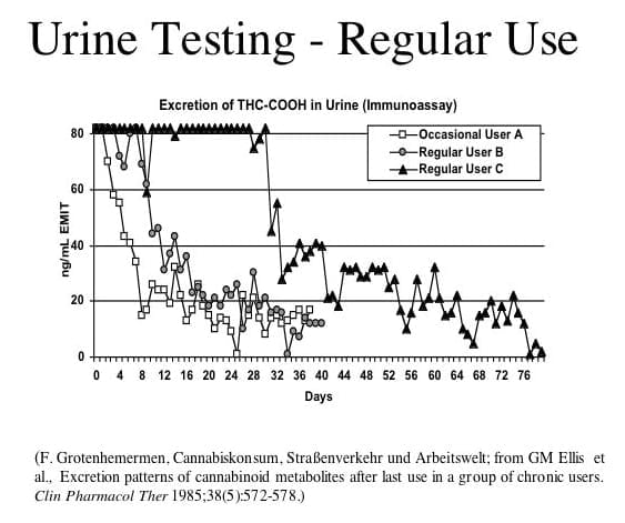 Thc Half Life Chart