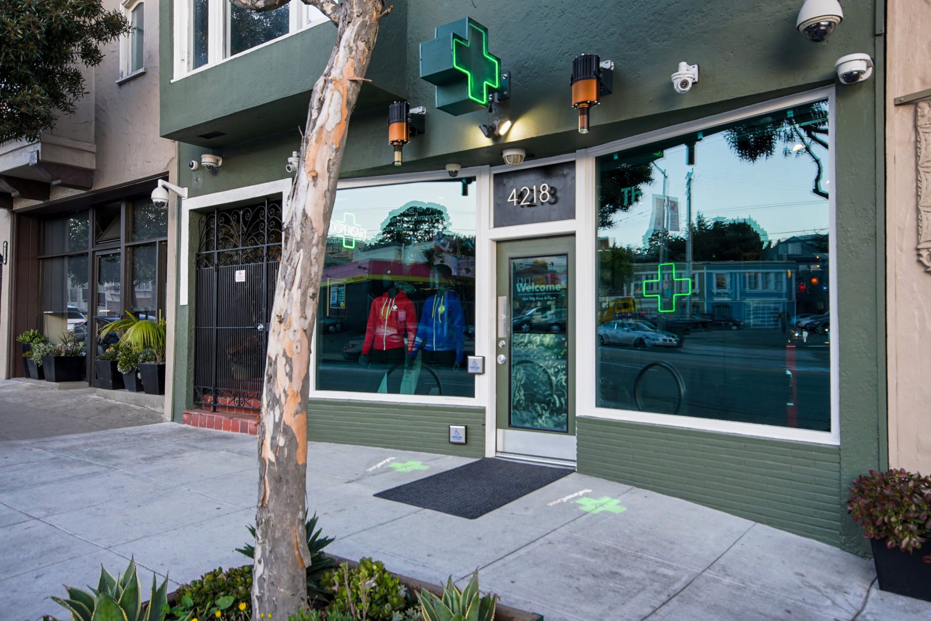 A storefront with a Green Cross medical cannabis dispensary sign above the door, large windows reflecting the street, and the address 4218 visible above the entrance. A tree and sidewalk are in the foreground. Ca NORML