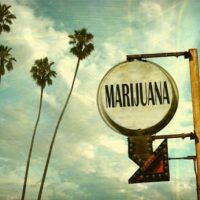 A vintage-style sign with the word "MARIJUANA" and a red arrow, set against a sky with scattered clouds and tall palm trees, reminiscent of the California NORML Law Seminar in Oakland, CA on February 18, 2017. The scene has a nostalgic, slightly worn appearance. CA Norml