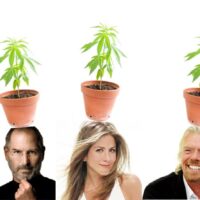An image shows four potheads smiling with potted plants levitating above their heads. Each plant is tall with green leaves. The individuals include two men and two women against a white background, appearing cheerful and productive. CA Norml
