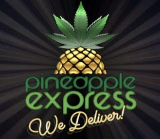 Pineapple-delivery-logo