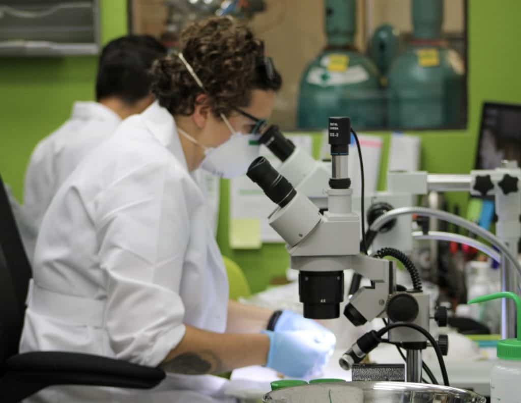 pure-analytics-canorml-photo4