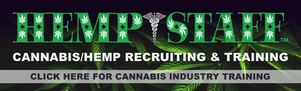 Banner image with text: "Hemp Staff - Cannabis/Hemp Recruiting & Training." Background features cannabis leaves. A banner along the bottom reads, "Click Here for Surviving in the 2020 Style Cannabis Industry. CA Norml