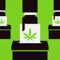 A graphic illustration depicting a series of voting machines with hands inserting ballots, each featuring an image of a cannabis leaf. The overall color scheme is green and black, emphasizing the significance of Cannabis Candidates in the upcoming June 2022 primary election. CA Norml