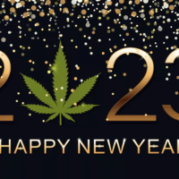 An illustration features "2023" in large gold numbers, with a cannabis leaf replacing the "0". Gold confetti sprinkles from the top, and "Happy New Year" is written below in gold text. The background is black, creating a festive atmosphere that nods to California cannabis laws. CA Norml