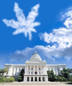 Sacramento Capitol with leaf cloud