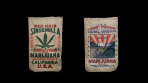 two-burlap-bags