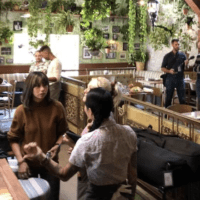 A cozy café filled with greenery and natural light. Patrons, including a woman in a brown sweater and a person with tattoos, engage in conversations at tables. The walls are adorned with framed photos from Cal NORML News. It's bustling with people standing and chatting on this July 17, 2023. CA Norml