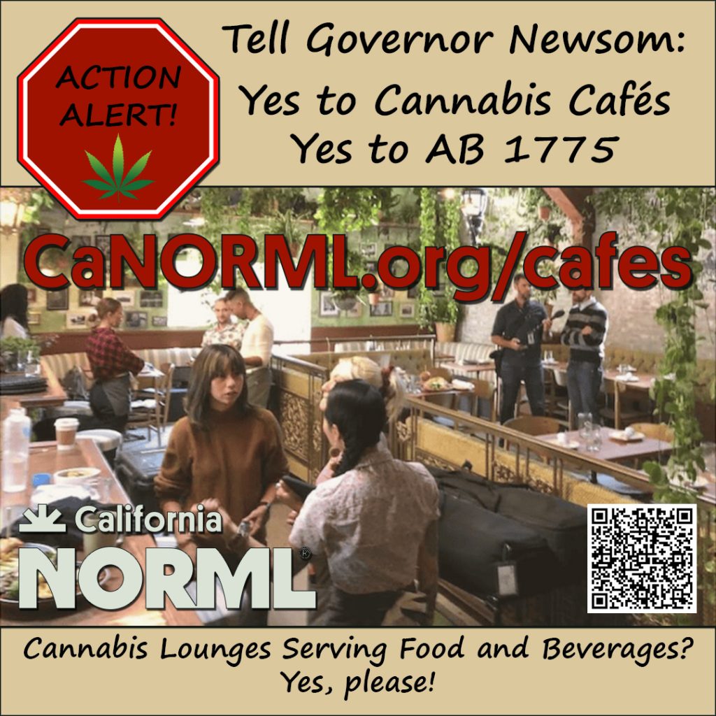 Image of a cannabis café with people socializing in cozy lounges. Text urges Governor Newsom to support cannabis cafés and AB 1775. Includes a QR code, the California NORML logo, and a "Yes to Cannabis Cafés" announcement as they push for acceptance in the Sacramento City Council. CA Norml