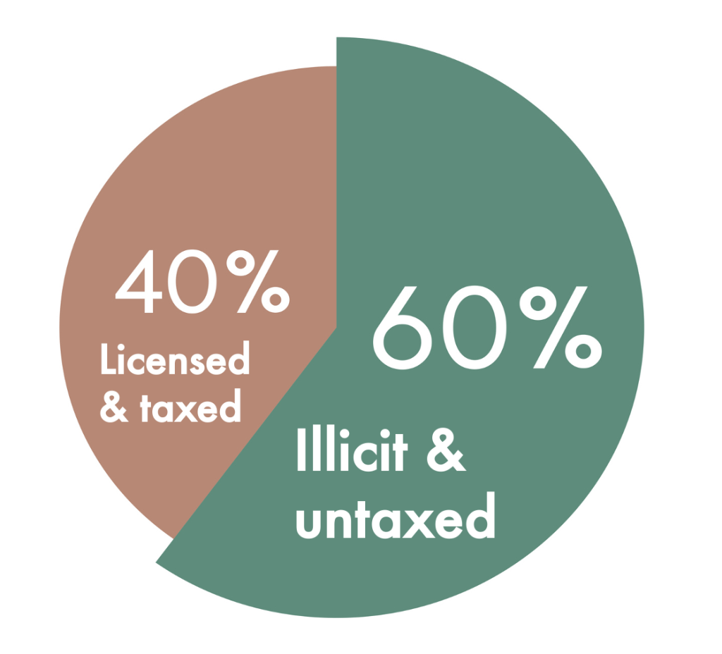 A pie chart displays 60% labeled "Illicit & untaxed" in green and 40% labeled "Licensed & taxed" in brown, highlighting the impact of paying business taxes on reducing failed businesses. CA Norml