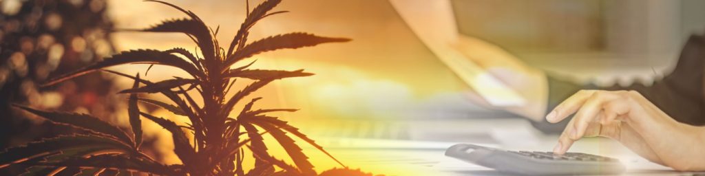 A person uses a calculator at a desk, with a cannabis plant in the foreground and warm sunlight streaming through the scene. CA Norml