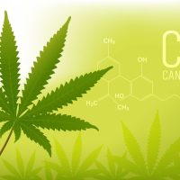 A large cannabis leaf on a green background, with the word "CBD CANNABIDIOL" and a chemical structure diagram shown on the right side. Faded cannabis leaves in the background highlight 50 years of cannabis progress and reform. CA Norml