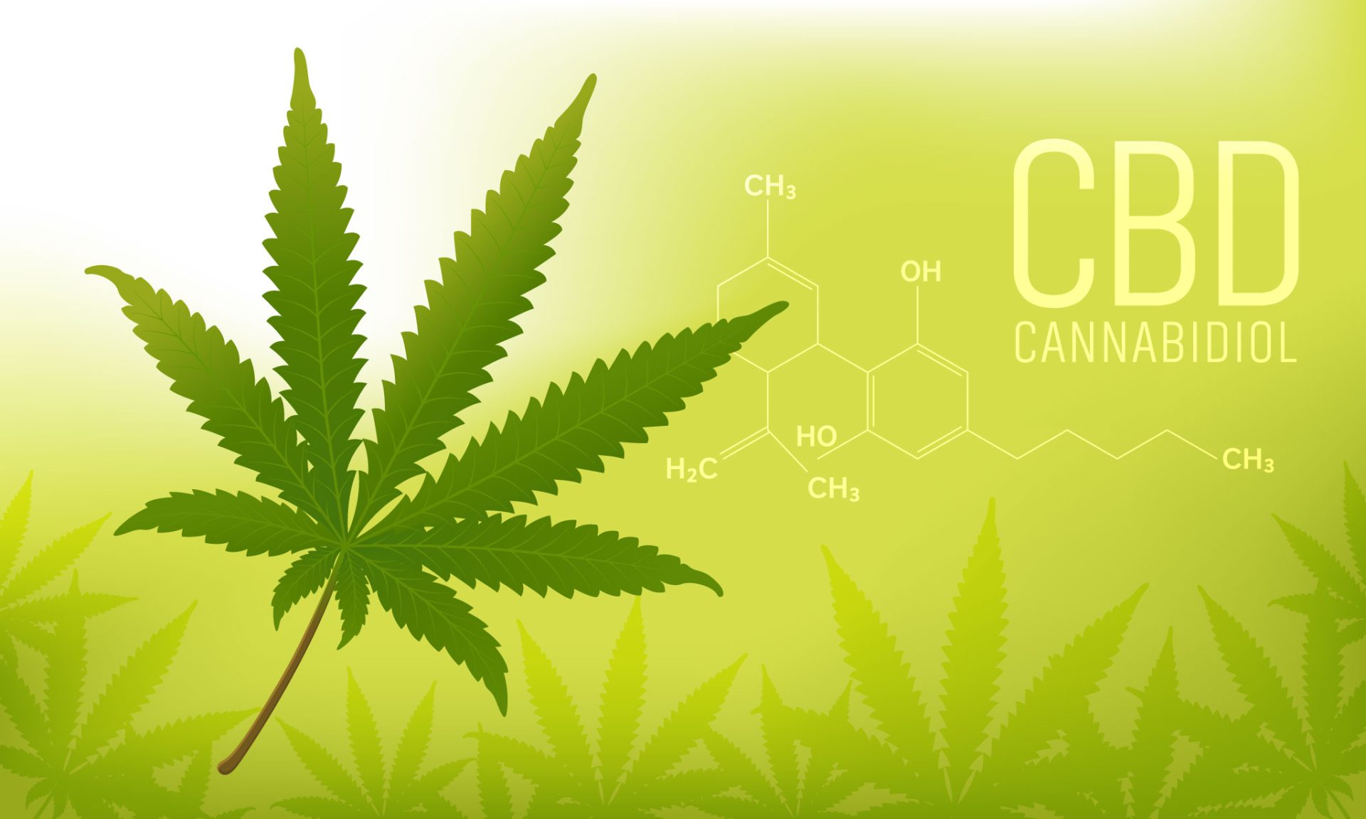 A large cannabis leaf on a green background, with the word "CBD CANNABIDIOL" and a chemical structure diagram shown on the right side. Faded cannabis leaves in the background highlight 50 years of cannabis progress and reform. CA Norml