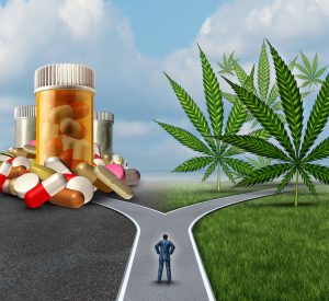 A person stands at a fork in the road, facing a choice between a path lined with prescription pill bottles and another lined with cannabis leaves, highlighting the impact of cannabis policy debates under a blue sky with clouds. Ca NORML