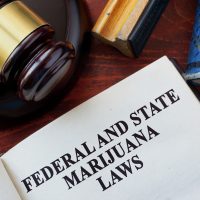 A book open to a page titled "Federal and State Marijuana Laws" sits on a desk beside a judge's gavel and references to Federal Legal Compliance for California M-License Operators. Ca NORML