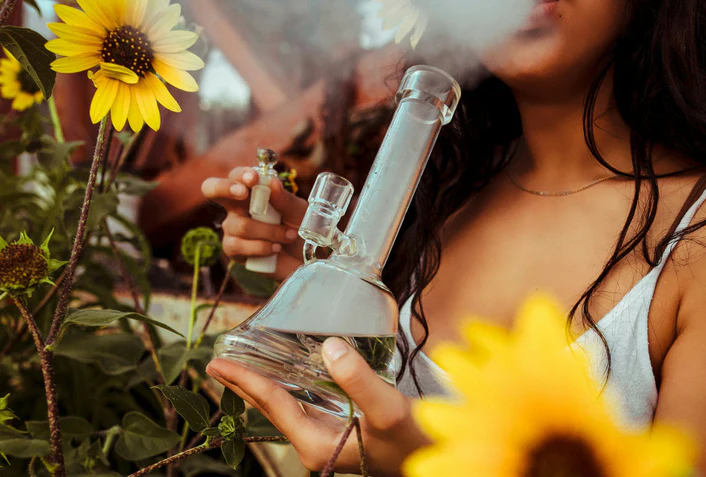 A person surrounded by sunflowers holds a glass bong, exhaling smoke. The focus is on the bong and flowers, while the person's face is partially obscured by smoke. Ca NORML